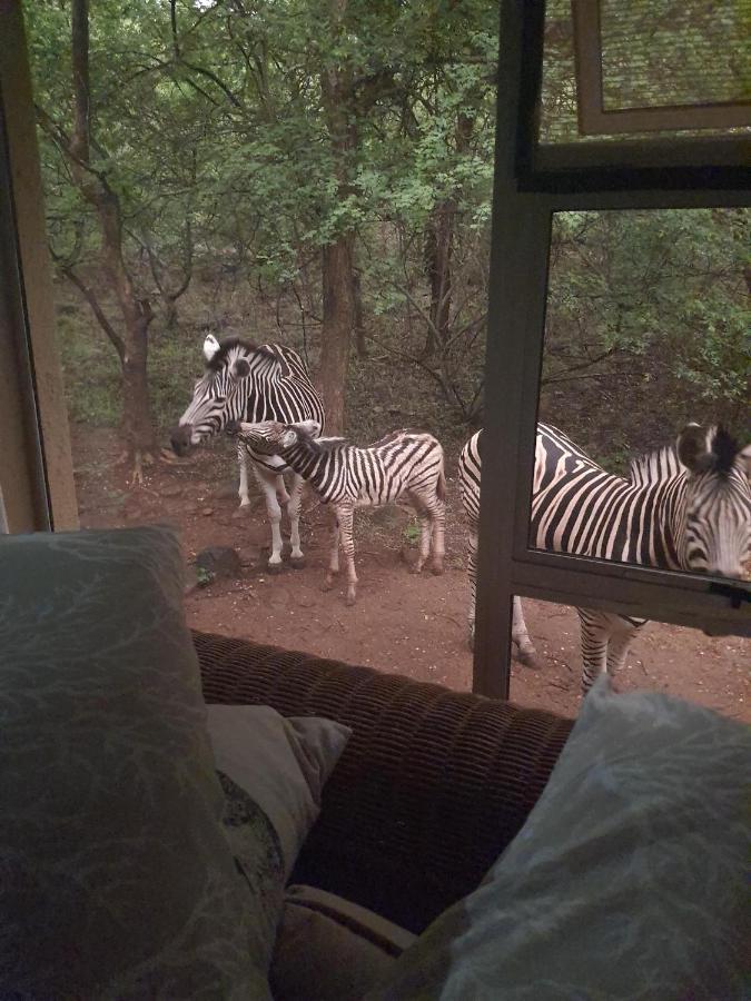 Canyon Guest Villa Hoedspruit Buitenkant foto