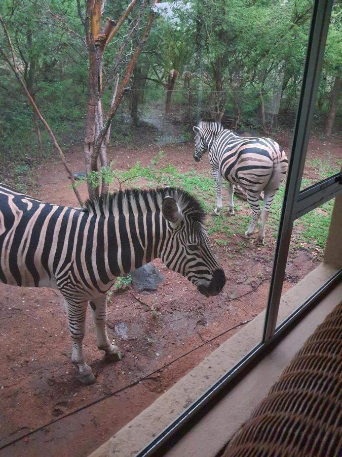 Canyon Guest Villa Hoedspruit Buitenkant foto